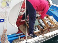 Lipari - Fischer und sein Fang