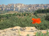 Agrigento