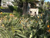 Blütenpracht in Taormina.