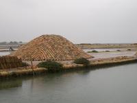 Darunter wird Salz gelagert.