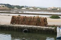 Ziegel für die Abdeckung der Salzberge