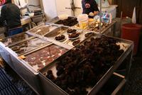 Seeigel und Muscheln