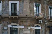 Katze wandert von Fenster zu Fenster