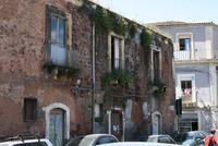 hier wachsen die Pflanzen sogar aus den Fenstern