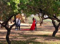 Sizilien. Agrigento - Tal der Tempel. Amore