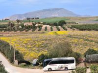 Sizilien. Tenuta Fratelli Sanacore