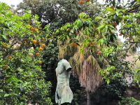 Sizilien. Siracusa. Ausgrabungsstätte mit Bronzeplastik