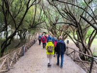 Sizilien. Siracusa. Ausgrabungsstätte