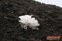 Eisskulpturen auf dem Kraterand am Ätna