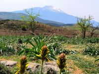 Sizilien. Argimusco und Blick zum Ätna