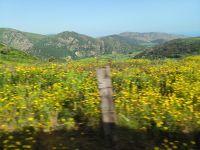 Sizilien. Nebrodi Gebirge