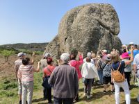 Sizilien. Argimusco. Brindisi