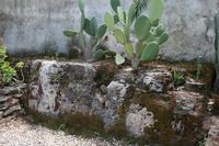 Mauer neben Agricola