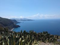 Üppige Vegitation trotz Fehlen von Grundwasser