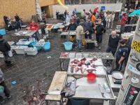 Fischmarkt in Catania wie vor 100 Jahren