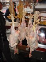 Gemüsemarkt Catania