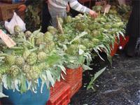 Gemüsemarkt Catania