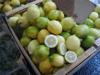 Gemüsemarkt Catania