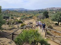 Agrigent-Tal der Tempel (5).jpg