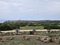 Tempelruinen von Selinunte -in weiter Ferne die Akropolis(1).jpg