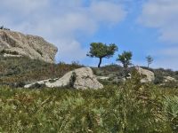 Manolithe in den Nebrodi-Bergen (5).jpg