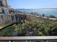 Syrakus - Altstadt auf Ortigia - Arethusa-Quelle(13).jpg