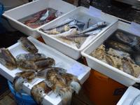 viele Angebote auf dem Fischmarkt