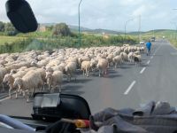 Begegnung auf der Strasse &ndash; &copy; Günter Thomas Menzel (Eberhardt TRAVEL)