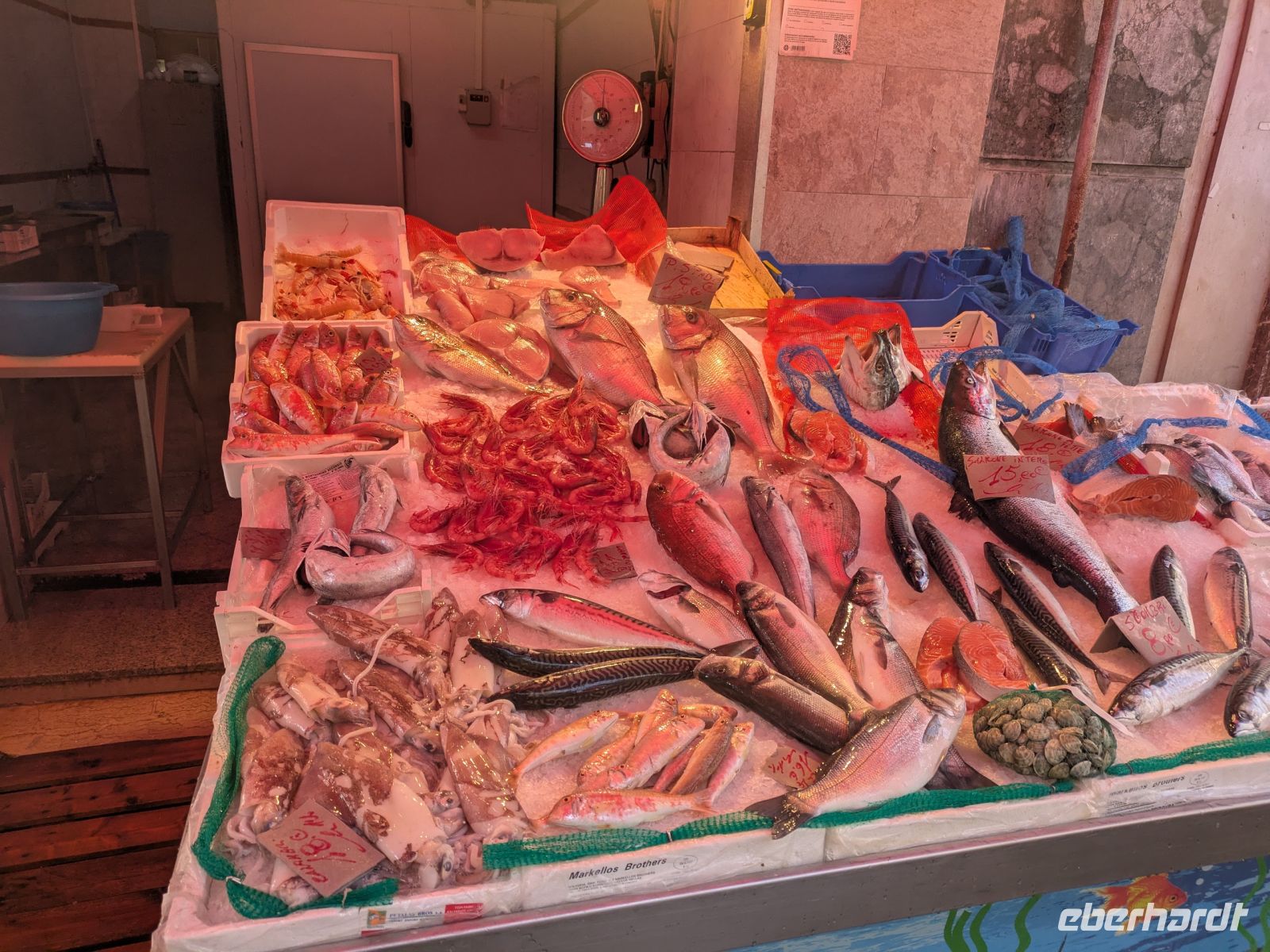 An vielen Marktständen gab es Fisch &ndash; &copy;  (Eberhardt TRAVEL)