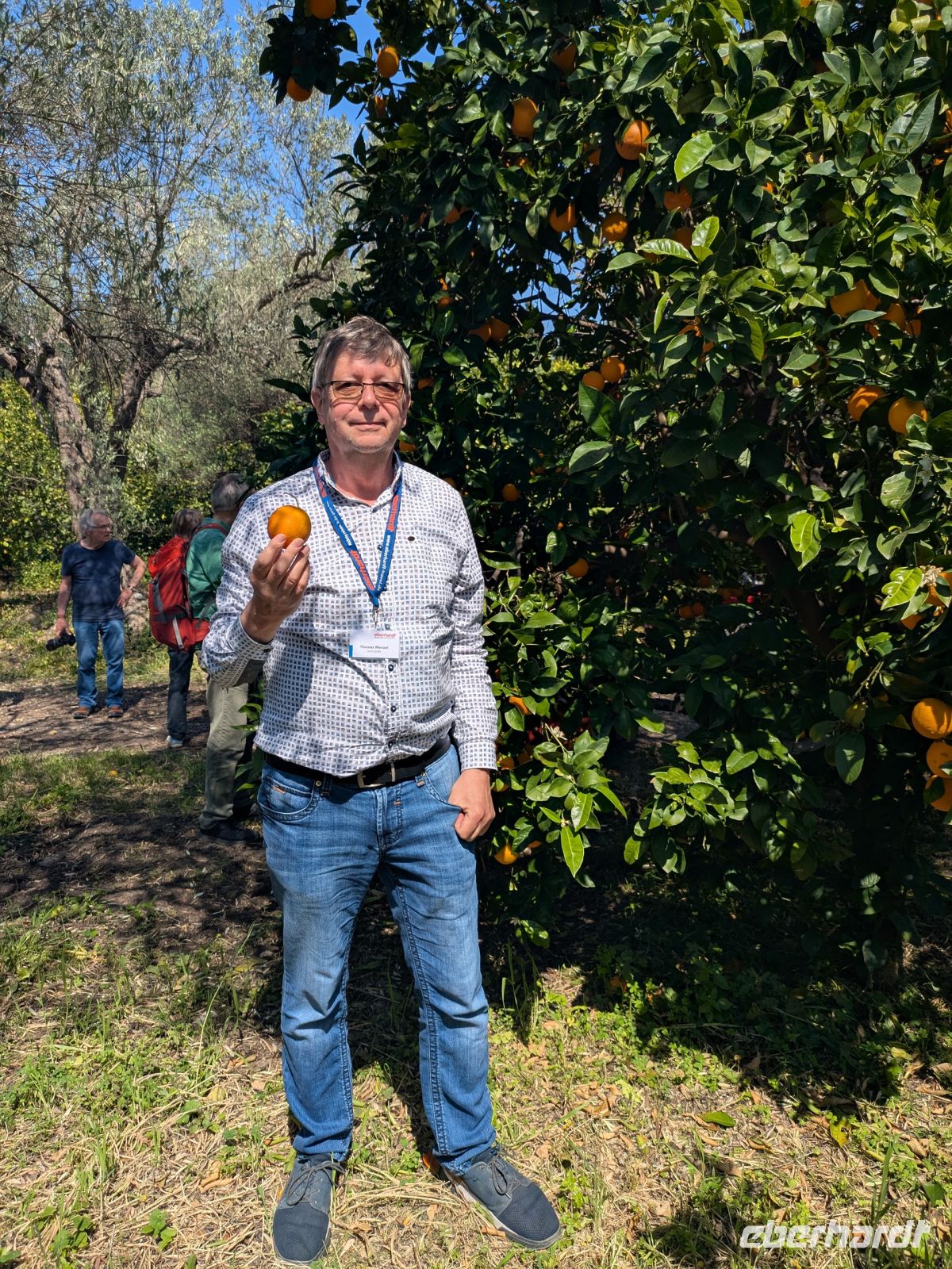 Orangen direkt vom Baum genossen &ndash; &copy;  (Eberhardt TRAVEL)