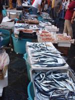 Fischmarkt in Catania