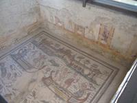 Villa Romanan Casale