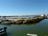 in den Salinen zwischen Marsala und Trapani