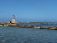 Trapani_Saline (1)