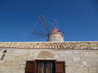 Trapani_Saline (2)