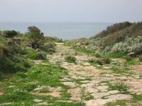 Hauptstraße der Akropolis