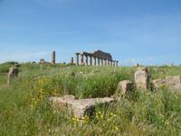 Tempel in Selinunte