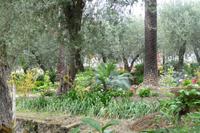 Taormina Stadtpark