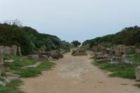 Selinunte Hauptstrasse