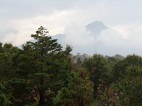 ein Teil des Hotelgartens Fiesta Atheene nach dem Gewitter