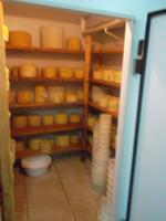 Alles Käse - die Familien-Schatzkammer