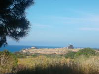 Blick zur Akropolis von Selinunt