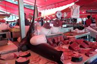 Catania Fischmarkt