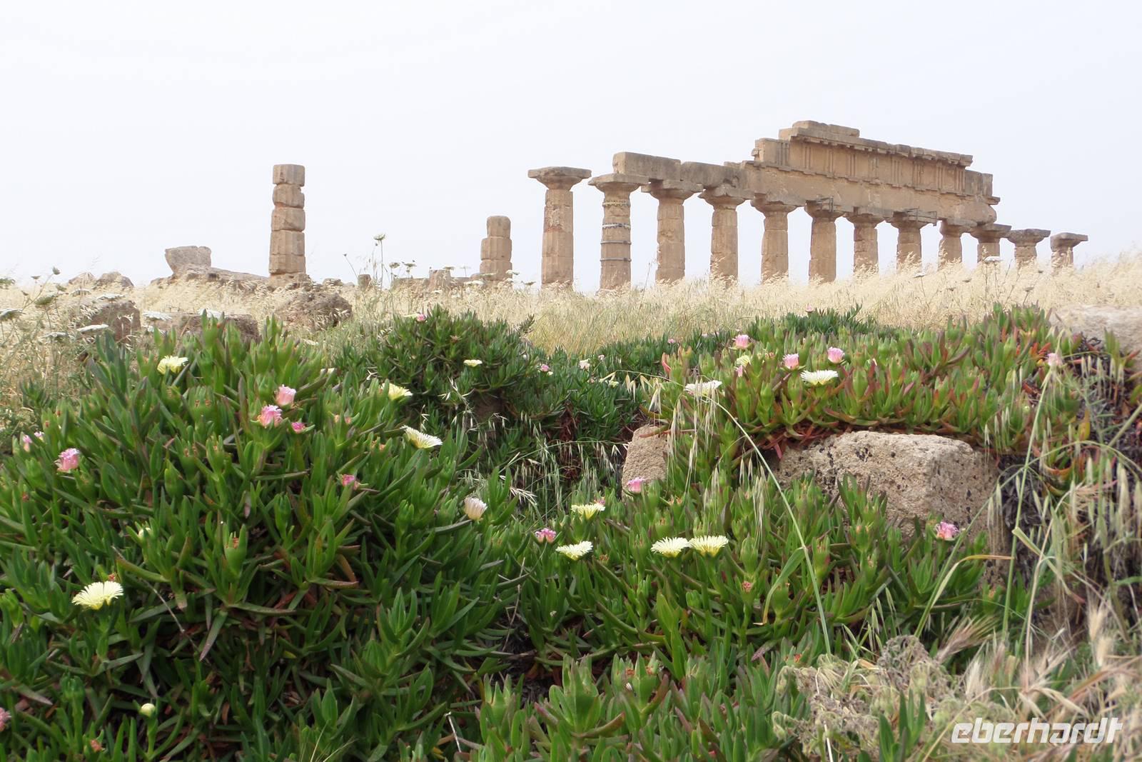 Selinunt - Akropolis