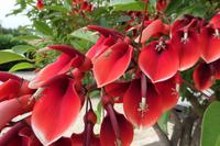 Unser Hotel Fiesta Athenee in Campofelice