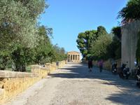 02.10.2013 Straße der Tempel in Agrigent