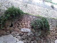 Kapernpflanzen an den Mauern Taorminas