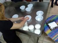 Ricotta zum Verkosten - in der Molkerei