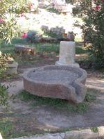 1000 Punkte bei der Beantwortung der Frage, wozu dieses 