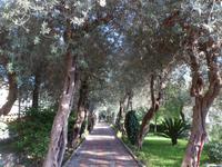 Villa Comunale,Taormina